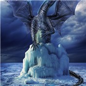 Dragons 5