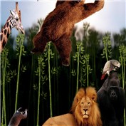 Fly bear, fly... — taser
