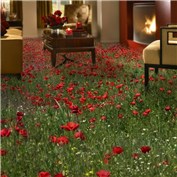 floral carpet — alkisti
