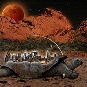Turtle City — Phildo