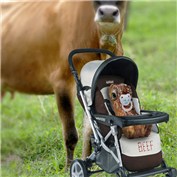 Baby Beef — dractilo