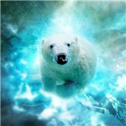 Swimming Spacebear — Arnauld