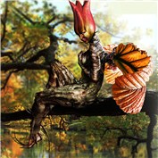 Faeries 4