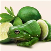 Chop A Frog 7