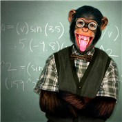 Apeinstein — elisonap