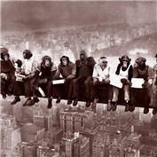 Chimp "hanging" at work — vherrera
