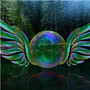 Bubble with wings                             — pedrocaII