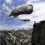 Zeppelins and Blimps