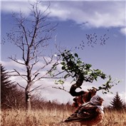 Saving The Tree — SHmaster