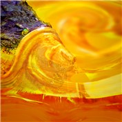 into the honey pound — dushka2001