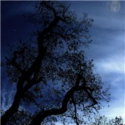 Earth & Sky — IcyAll