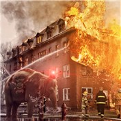 Firephant !  — metalwave