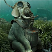 Breaking Old Habitats 5