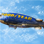 FOOD YEAR — netodark2012