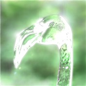 Glass Flamingo — Stijn023