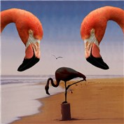 The Karate Flamingo — ajjones1012