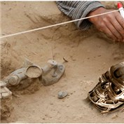 Terminator Archaeological — sheble