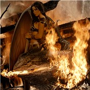 Warrior Dragon — Pherdinandus