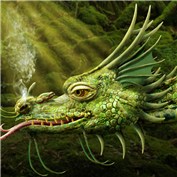 Dragons 6