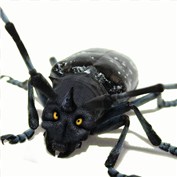 Dognosebug — Jaylee1