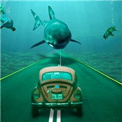 shark on the road — Jonatanogrish