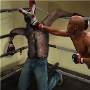 Anderson Silva destroys everything — pedrodiniz