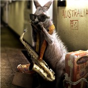 Kangaroos! 5