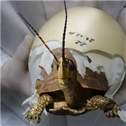 TurtleHopper Hatchling — gummy