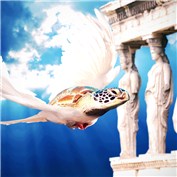 The majestic Turtledove of Atlantis — soulinferno13
