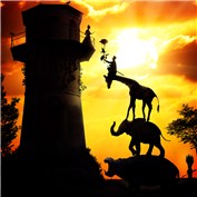 Silhouettes 5