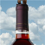 Working Man's Corkscrew — 6ofone