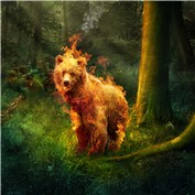 Fire Bear — orionnebula