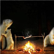 Family Camping Trip — kalza