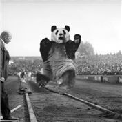 Panda Jump — Method