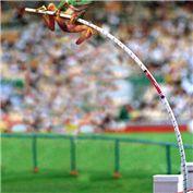 Animal Olympics 3