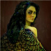 feather fairy — ch123