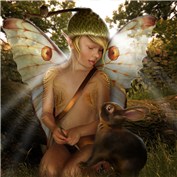 Faeries 5