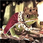 King Frog — JanStaes