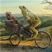 Chop A Frog 8