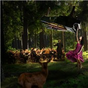 Concerto for floating piano and orchestra in D minor — dushka2001