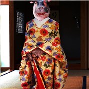 For myself I don't like the geisha look. It's like a mask! — DennisL