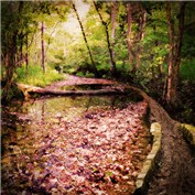 Bridge Over Fall — IcyAll