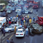 Toad accident — vopperough