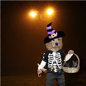 scarey stuff  huh ! — penuf