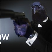 Crow oo7 — skjadhav21