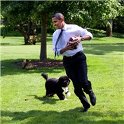 Obama. — sbalou96
