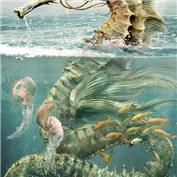 Dragons 7