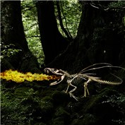 Skeleton Dragon — JokkeGuden