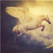 Pegasus — chichetti