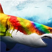 Colorshark — ThomasBerg